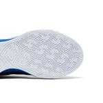 Кроссовки Nike Giannis Freak 6 TB 'Game Royal' 5