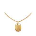 Колье Mini Locket 1