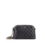 Маленькая сумка на плечо CC Dome Zip Clutch with Chain Quilted Caviar 1