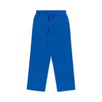 Брюки Aimé Leon Dore Sport Logo Нейлоновые брюки 'Royal' 2