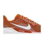 Кроссовки Nike Air Zoom Pegasus 41 'Texas 2024' 2