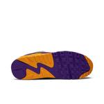 Кроссовки Nike Air Max 90 'Viotech' 4