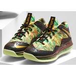 Кроссовки Nike LeBron «Celebration Pack» 5