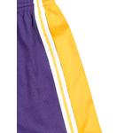 Шорты NBA Los Angeles Lakers 2