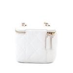 Стеганая мини-сумка через плечо Camellia Bow Vanity Case с цепочкой 2