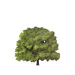 Часы Albero 1