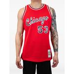 Топ NBA Chicago Bulls 1977 Artis Gilmore 1