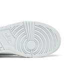 Кроссовки Nike Dunk High GS 'Summit White Pure Platinum' 5