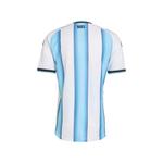 Футболка Argentina 26 в полоску 2