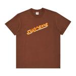 Футболки Supreme Banner Tee «Brown» 1