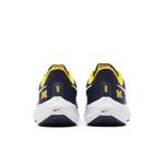Кроссовки Nike Air Zoom Pegasus 39 'Michigan' 6