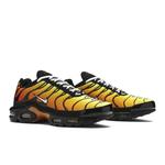 Кроссовки Nike Air Max Plus OG 'Tiger' 9
