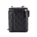 Маленькая сумка на плечо Vertical Classic Vanity Case with Chain Quilted Caviar 2