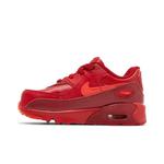 Кроссовки Nike Air Max 90 TD 'City Special - Chicago' 3