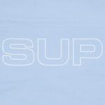 Брюки Supreme Spellout Embroidered Ripstop Track Pant 'Light Blue' 3
