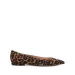 Балетки Gianvito 1