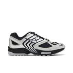 Кроссовки Nike Air Pegasus 2K5 'Metallic Silver Black' 1