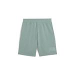 Мужские спортивные шорты PUMA Sport 9 дюймов с графическим принтом 2