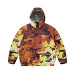 Куртка Supreme x Wu-Tang Clan GORE-TEX Shell Jacket 'Multicolor' 1
