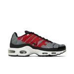 Кроссовки Nike Air Max Plus SE 'Big Logo' 1