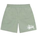 Плавки Stussy Big Basic Water Short 'Шалфей' 1