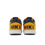 Кроссовки Nike Terminator Low 'Michigan' 6