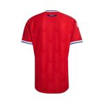Джерси Adidas Chile 26 Home Authentic Jersey 'Active Red' 2