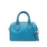 2021 Speedy nanogram handbag 1
