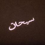 Футболки Supreme Arabic Logo Washed Short-Sleeve Tee 'Brown' 2