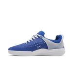 Кроссовки Nike Zoom Nyjah 3 SB 'Game Royal' 3