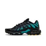 Кроссовки Nike Air Max Plus 'Black Dusty Cactus' 3