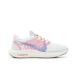 Кроссовки Nike Wmns Pegasus Turbo Next Nature 'Together' 1