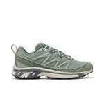 Кроссовки Salomon XT-6 Expanse 'Lily Pad' 1
