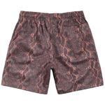 Шорты Stussy Basic Mesh Short 'Змея' 2