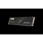 Klevv CRAS C925G 1TB PCIe 4.0 x4 NVMe M.2 2280 SSD 2