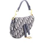 Saddle Handbag Oblique Canvas Mini shoulder bag 1