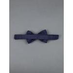 silk bow tie 2