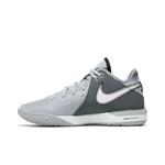 Кроссовки Nike Zoom LeBron NXXT Gen 'Wolf Grey' 3
