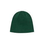 Шапки-бини Stussy Sport Deboss Skullcap 'Лесной' 2