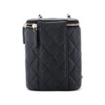 Маленькая сумка на плечо Vertical Classic Vanity Case with Chain Quilted Caviar 2