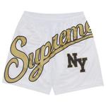 Шорты Supreme Big Script Mesh Short 'Black' 1