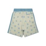 Шорты Banco Stone Blue/Ivory 2