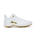 Бутсы Air Jordan 12 Low Golf 'Мастерс' 1