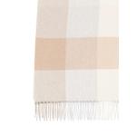 check-pattern fringed scarf 2