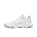 Кроссовки Nike Fly.By Mid 3 'Белый волчий серый' 3