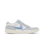 Кроссовки Nike Force 58 SB 'Wolf Grey Ashen Slate' 1