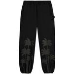 Спортивные брюки Palms 1