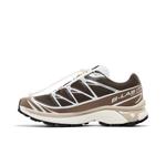 Кроссовки Salomon XT-6 'Earth Brown Walnut' 3