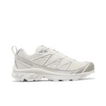 Кроссовки Salomon XT-6 Expanse 'Vanilla Ice' 1