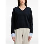 V-neck long-sleeve sweater 1